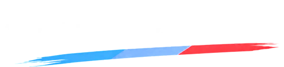 BMWCoding.dk logo