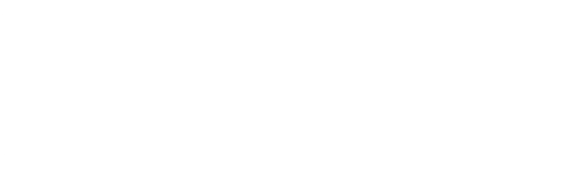 H&R Special Springs logo